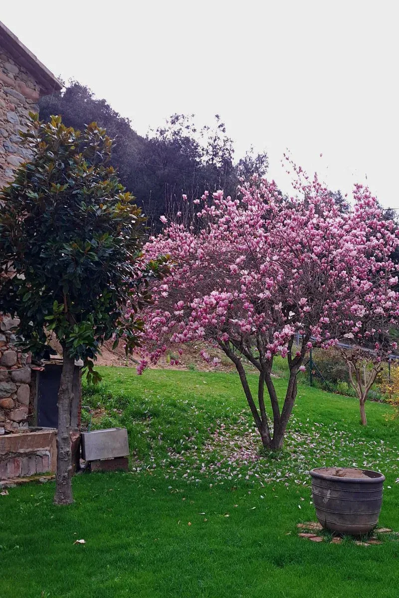 Mas spectaculaire avec des terres et toutes les commodités dans la nature
