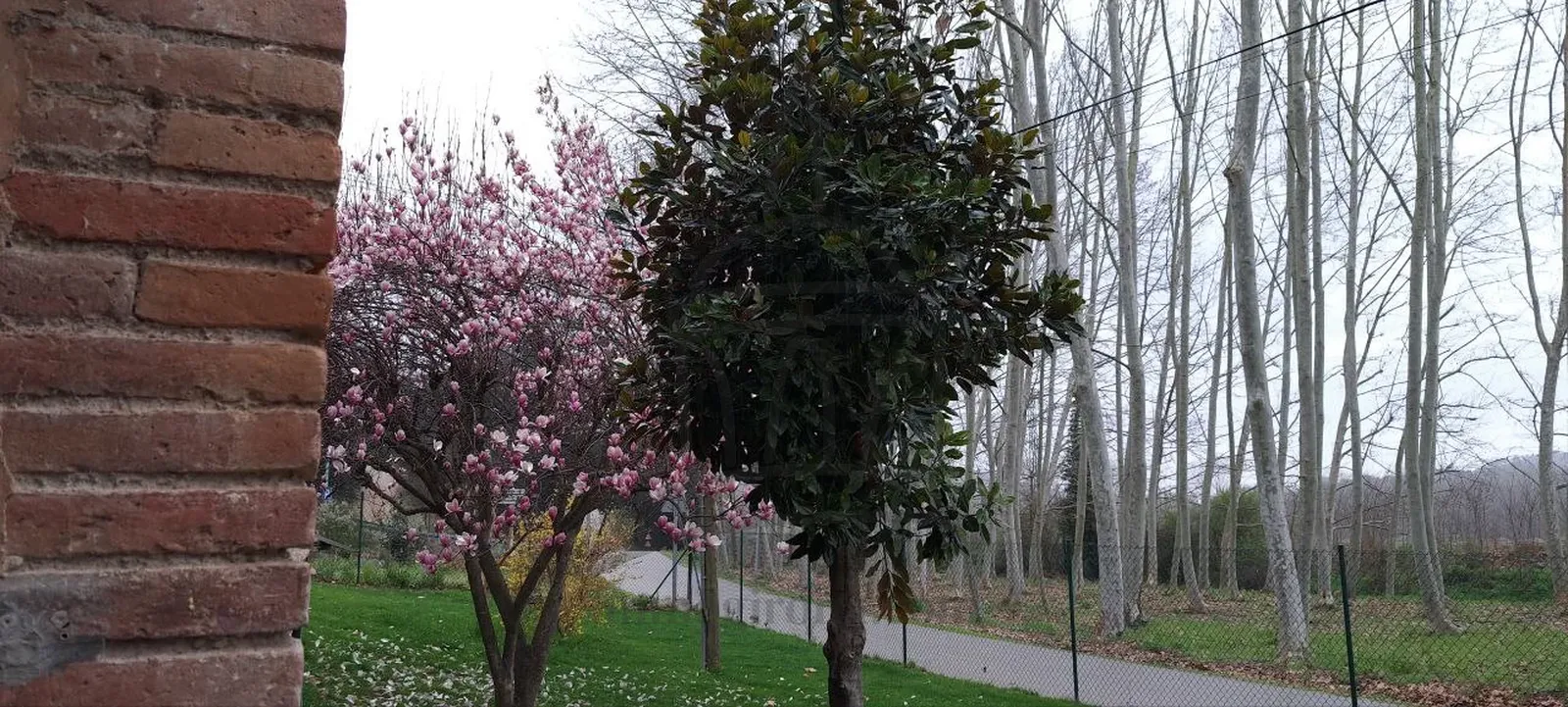 Mas spectaculaire avec des terres et toutes les commodités dans la nature