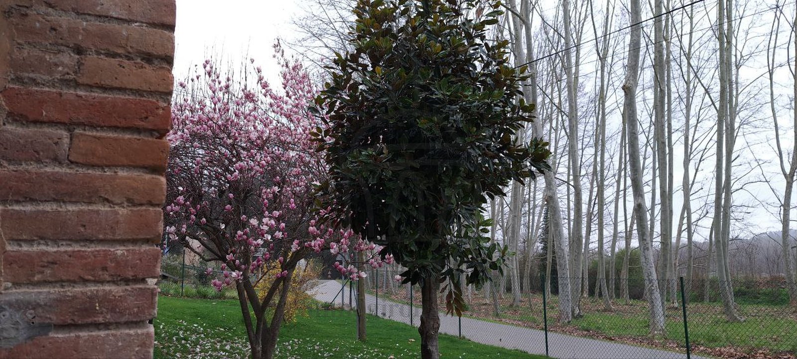 Эффектный фермерский дом с большим участком земли и всеми удобствами на природе.