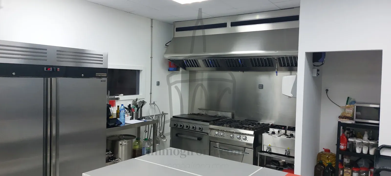Investment Opportunity: Profitable Premises in Girona